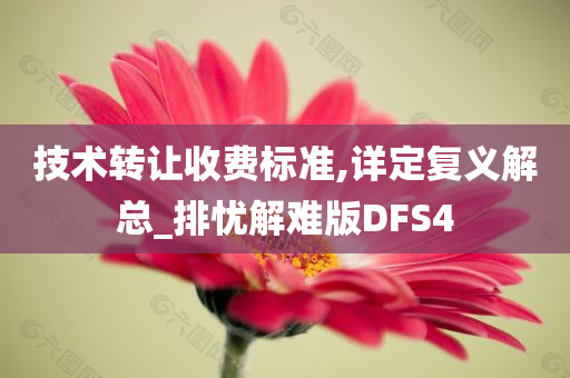 技术转让收费标准,详定复义解总_排忧解难版DFS4