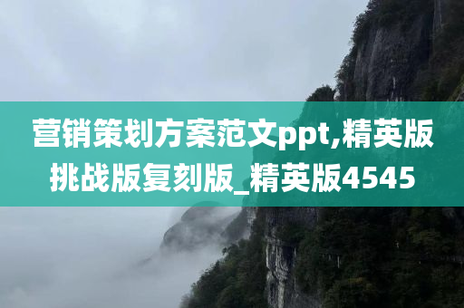 营销策划方案范文ppt,精英版挑战版复刻版_精英版4545