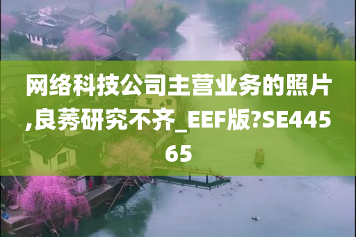 网络科技公司主营业务的照片,良莠研究不齐_EEF版?SE44565
