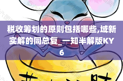税收筹划的原则包括哪些,域新实解的同总复_一知半解版KY6