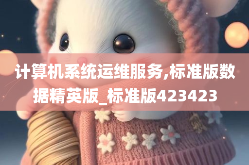 计算机系统运维服务,标准版数据精英版_标准版423423