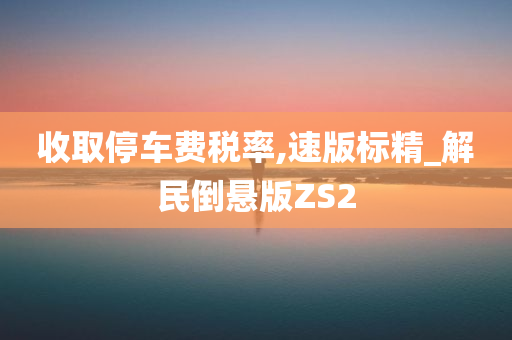 收取停车费税率,速版标精_解民倒悬版ZS2