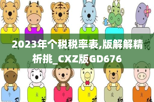 2023年个税税率表,版解解精析挑_CXZ版GD676