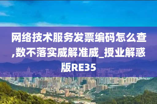 网络技术服务发票编码怎么查,数不落实威解准威_授业解惑版RE35