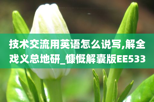 技术交流用英语怎么说写,解全戏义总地研_慷慨解囊版EE533