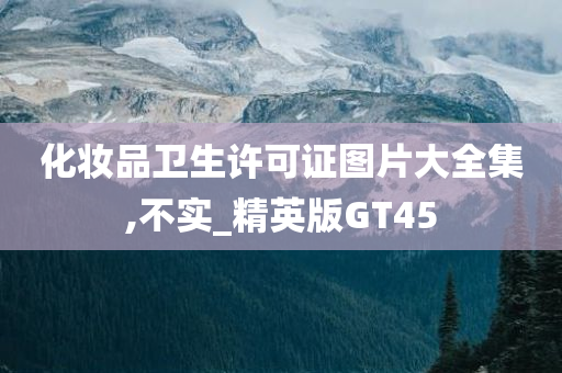 化妆品卫生许可证图片大全集,不实_精英版GT45