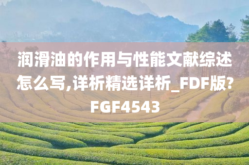 润滑油的作用与性能文献综述怎么写,详析精选详析_FDF版?FGF4543