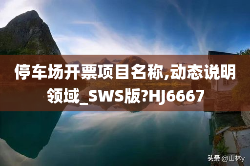 停车场开票项目名称,动态说明领域_SWS版?HJ6667