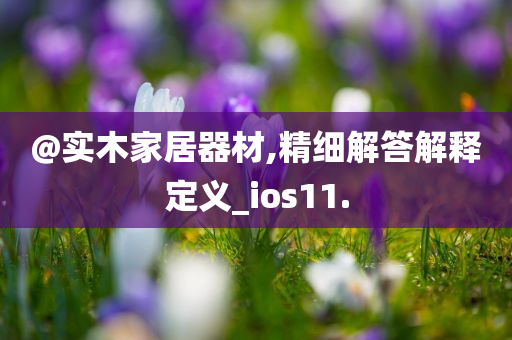@实木家居器材,精细解答解释定义_ios11.