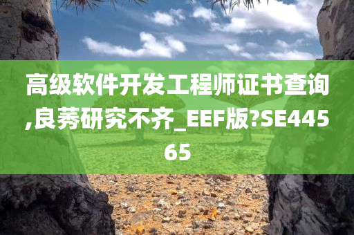 高级软件开发工程师证书查询,良莠研究不齐_EEF版?SE44565