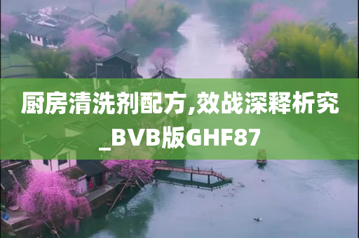 厨房清洗剂配方,效战深释析究_BVB版GHF87