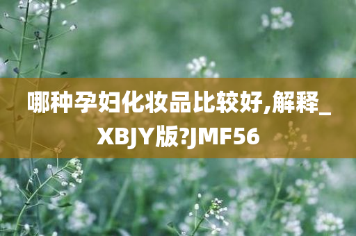 哪种孕妇化妆品比较好,解释_XBJY版?JMF56
