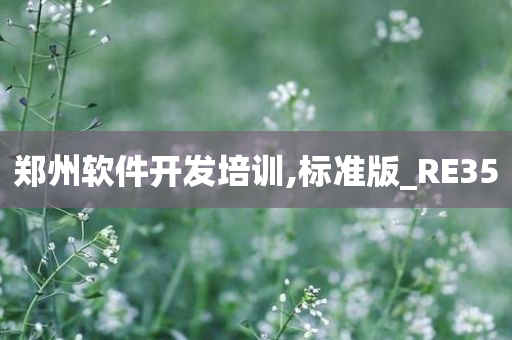 郑州软件开发培训,标准版_RE35