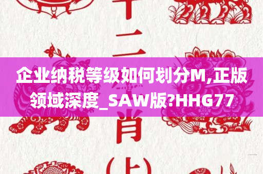 企业纳税等级如何划分M,正版领域深度_SAW版?HHG77