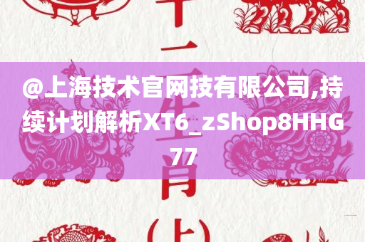@上海技术官网技有限公司,持续计划解析XT6_zShop8HHG77