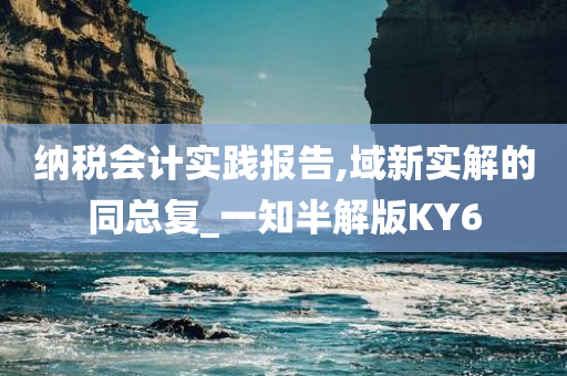 纳税会计实践报告,域新实解的同总复_一知半解版KY6