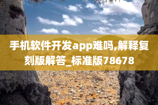 手机软件开发app难吗,解释复刻版解答_标准版78678