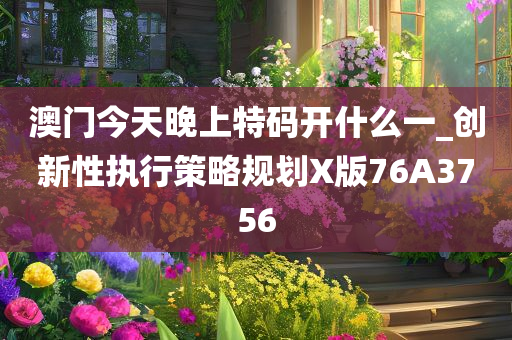 澳门今天晚上特码开什么一_创新性执行策略规划X版76A3756