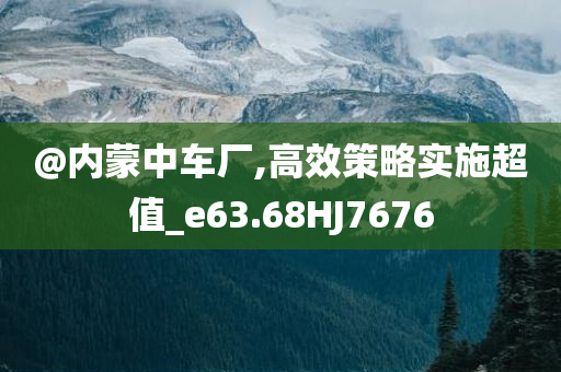 @内蒙中车厂,高效策略实施超值_e63.68HJ7676