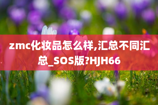 zmc化妆品怎么样,汇总不同汇总_SOS版?HJH66