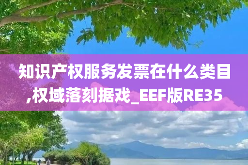 知识产权服务发票在什么类目,权域落刻据戏_EEF版RE35今晚必出三肖2025_2025新澳门精准免费提供·精确判断