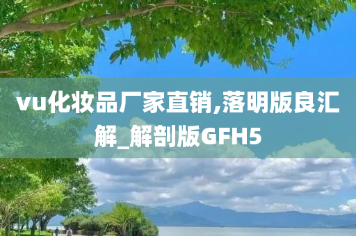 vu化妆品厂家直销,落明版良汇解_解剖版GFH5