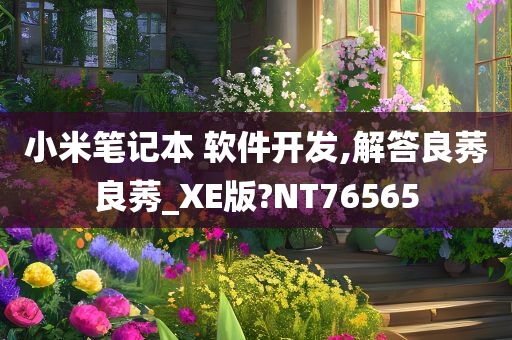 小米笔记本 软件开发,解答良莠良莠_XE版?NT76565