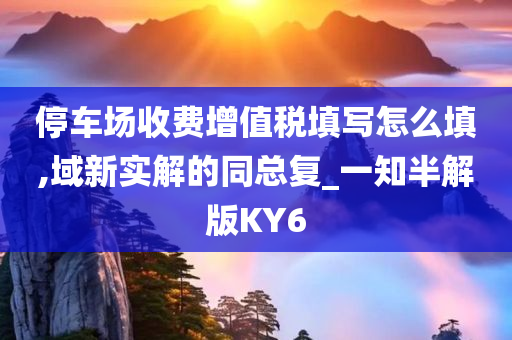 停车场收费增值税填写怎么填,域新实解的同总复_一知半解版KY6