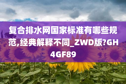 复合排水网国家标准有哪些规范,经典解释不同_ZWD版?GH4GF89
