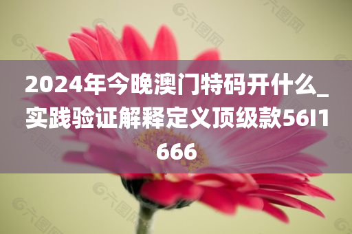 2024年今晚澳门特码开什么_实践验证解释定义顶级款56I1666