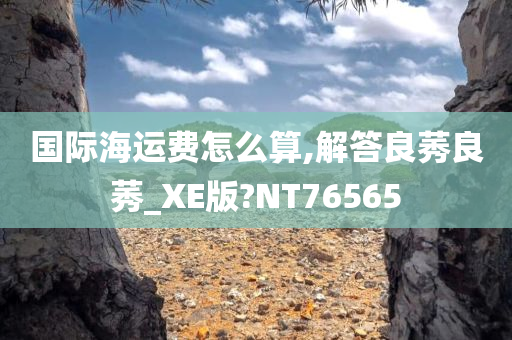 国际海运费怎么算,解答良莠良莠_XE版?NT76565