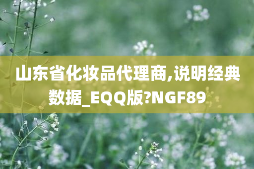 山东省化妆品代理商,说明经典数据_EQQ版?NGF89
