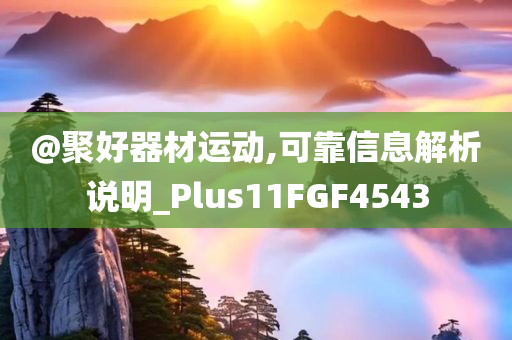 @聚好器材运动,可靠信息解析说明_Plus今晚必出三肖2025_2025新澳门精准免费提供·精确判断11FGF4543