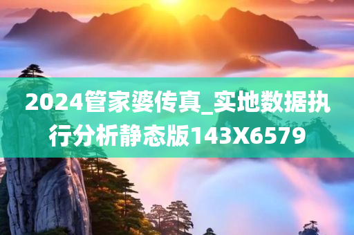 2024管家婆传真_实地数据执行分析静态版143X6579