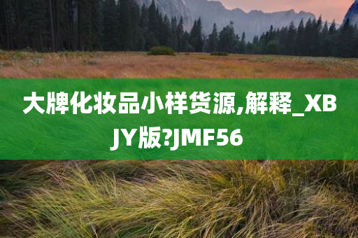 大牌化妆品小样货源,解释_XBJY版?JMF56