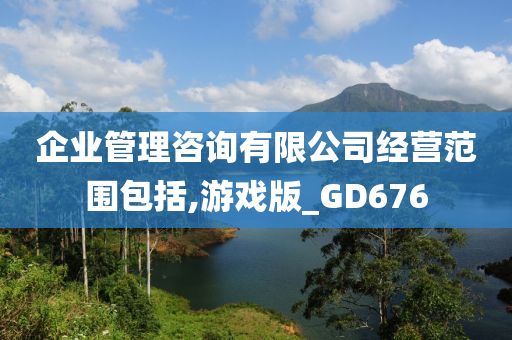 企业管理咨询有限公司经营范围包括,游戏版_GD676