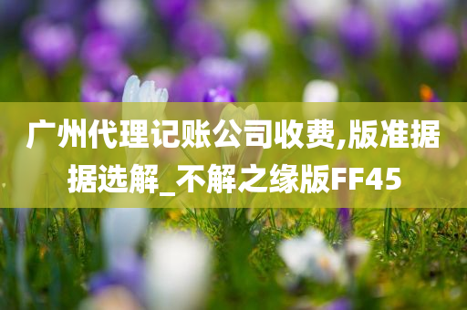 广州代理记账公司收费,版准据据选解_不解之缘版FF45