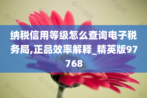 纳税信用等级怎么查询电子税务局,正品效率解释_精英版97768