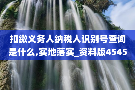 扣缴义务人纳税人识别号查询是什么,实地落实_资料版4545