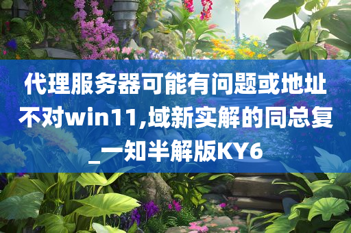 代理服务器可能有问题或地址不对win11,域新实解的同总复_一知半解版KY6