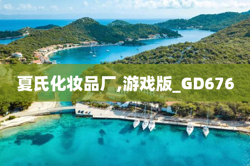 夏氏化妆品厂,游戏版_GD676