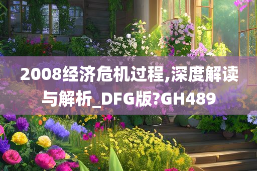 2008经济危机过程,深度解读与解析_DFG版?GH489