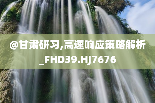 @甘肃研习,高速响应策略解析_FHD39.HJ7676