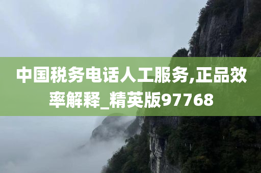 中国税务电话人工服务,正品效率解释_精英版97768