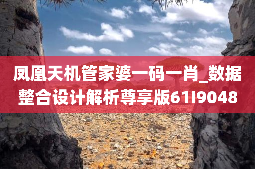 凤凰天机管家婆一码一肖_数据整合设计解析尊享版61I9048