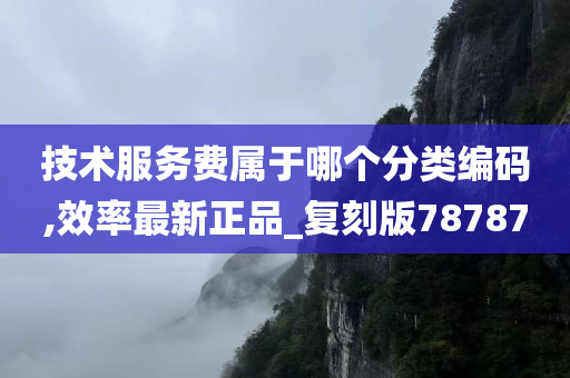 技术服务费属于哪个分类编码,效率最新正品_复刻版78787