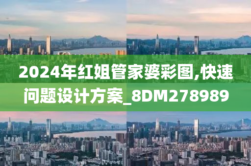 2024年红姐管家婆彩图,快速问题设计方案_8DM278989