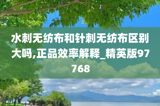 水刺无纺布和针刺无纺布区别大吗,正品效率解释_精英版97768