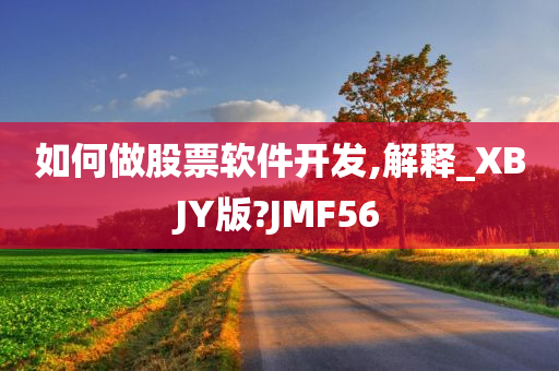如何做股票软件开发,解释_XBJY版?JMF56
