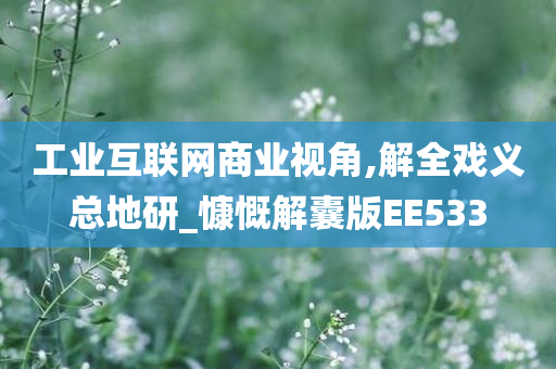 工业互联网商业视角,解全戏义总地研_慷慨解囊版EE533